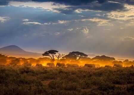 16 daagse safari Best of Kenya